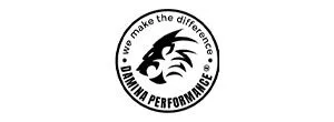 Damina performance